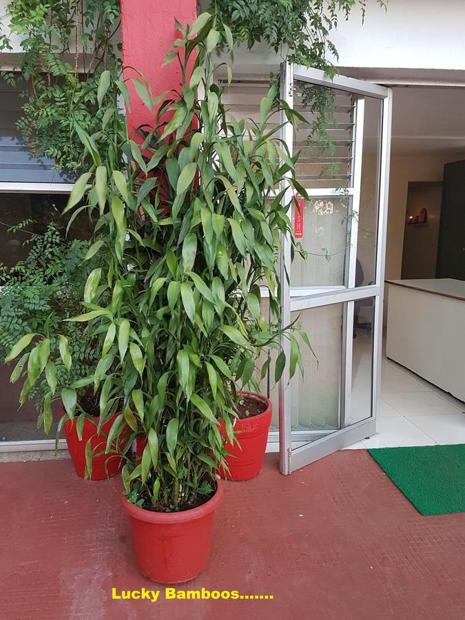 Hotel Stone House Mahābaleshwar Dış mekan fotoğraf